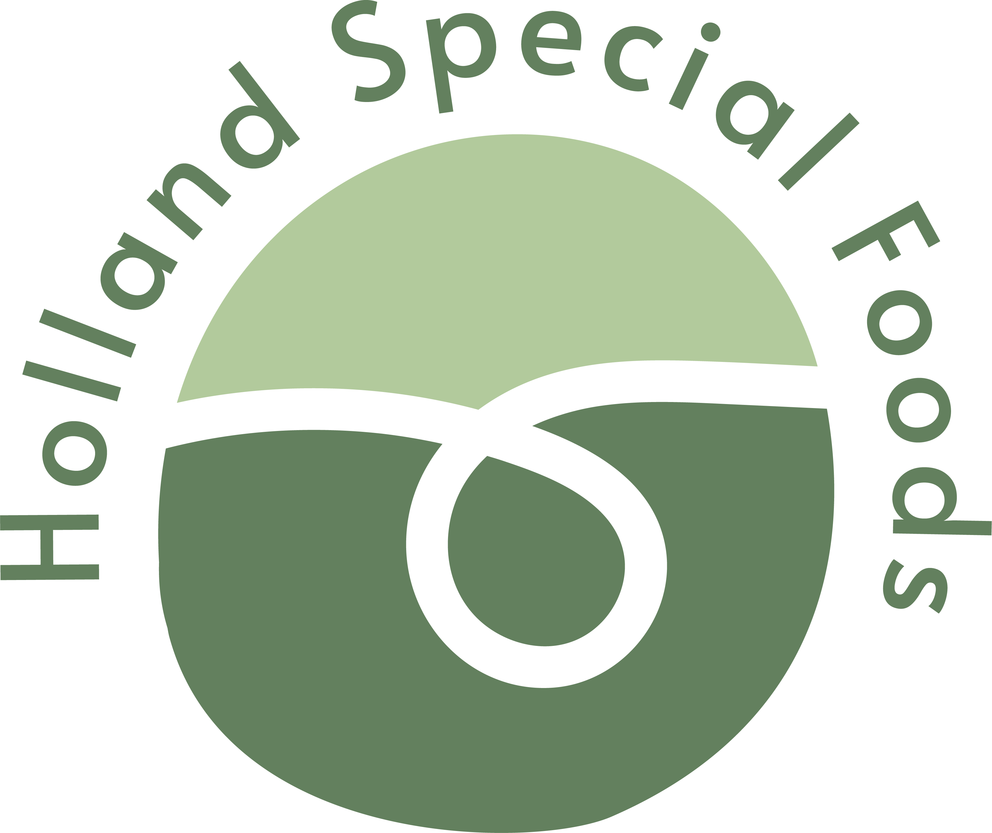 Holland Special Foods N.V.